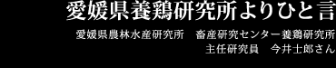 愛媛県養鶏研究所よりひと言