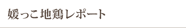 媛っこ地鶏レポート