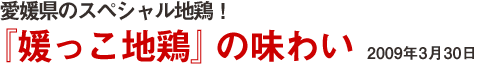 愛媛県スペシャル地鶏！『媛っこ地鶏』の味わい