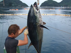 人・環境への愛（安全・安心）