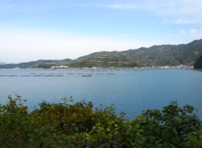ふるさとへの愛（歴史・伝統）