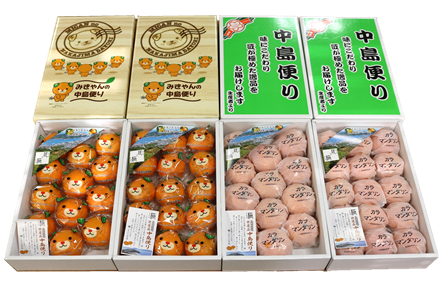 中島便り「匠と極」（カラ）