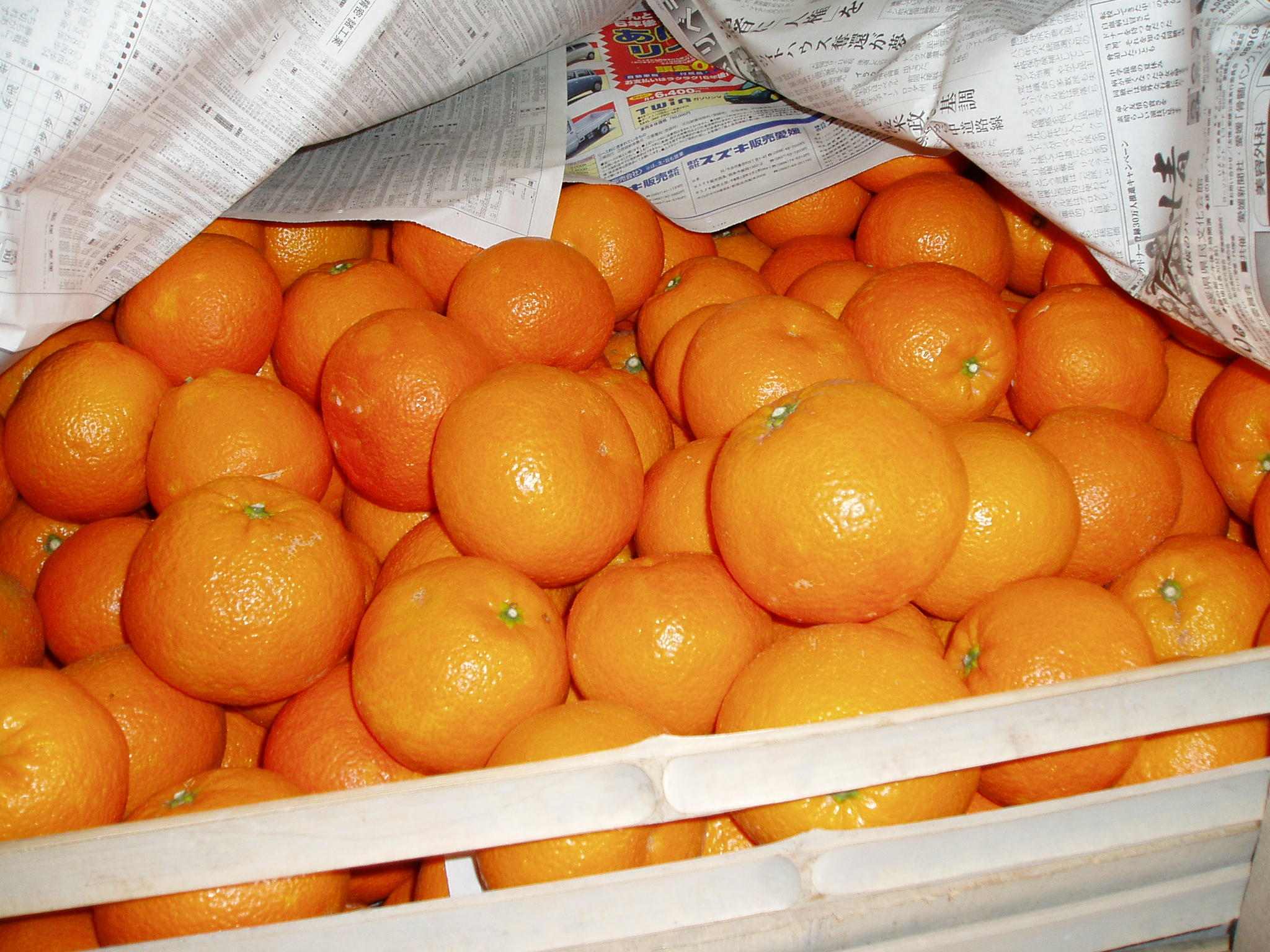 人・環境への愛（安全・安心）