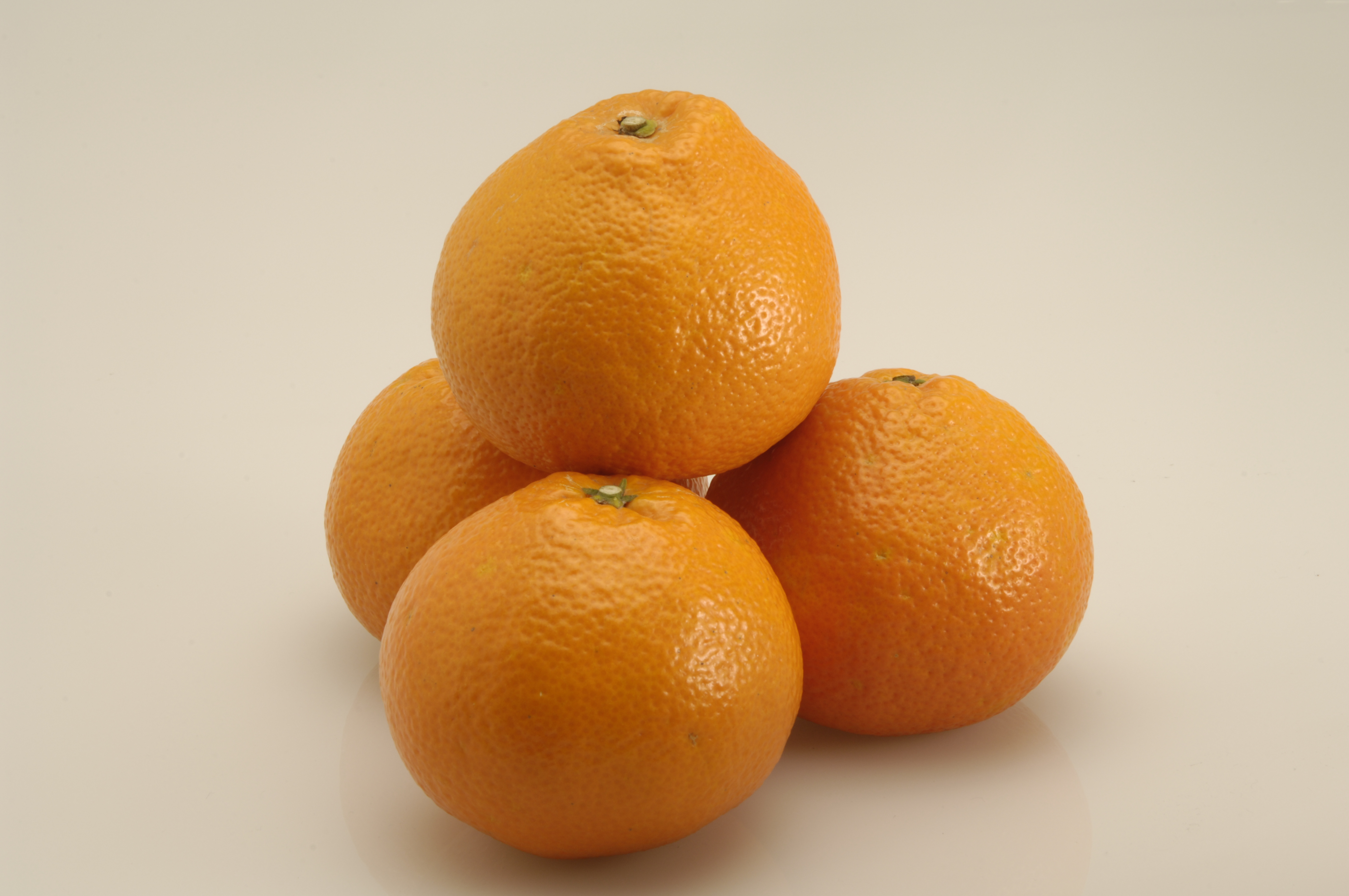 産物への愛（産品の特徴）