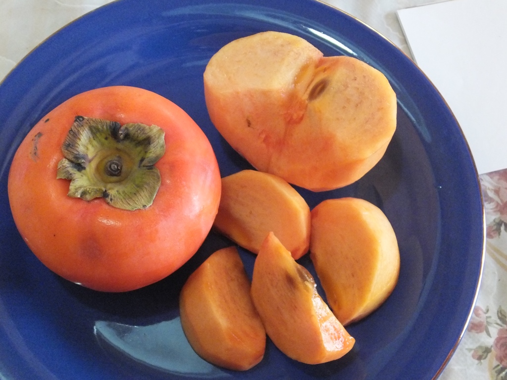 ふるさとへの愛（歴史・伝統）