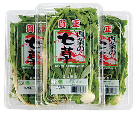 ふるさとへの愛（歴史・伝統）