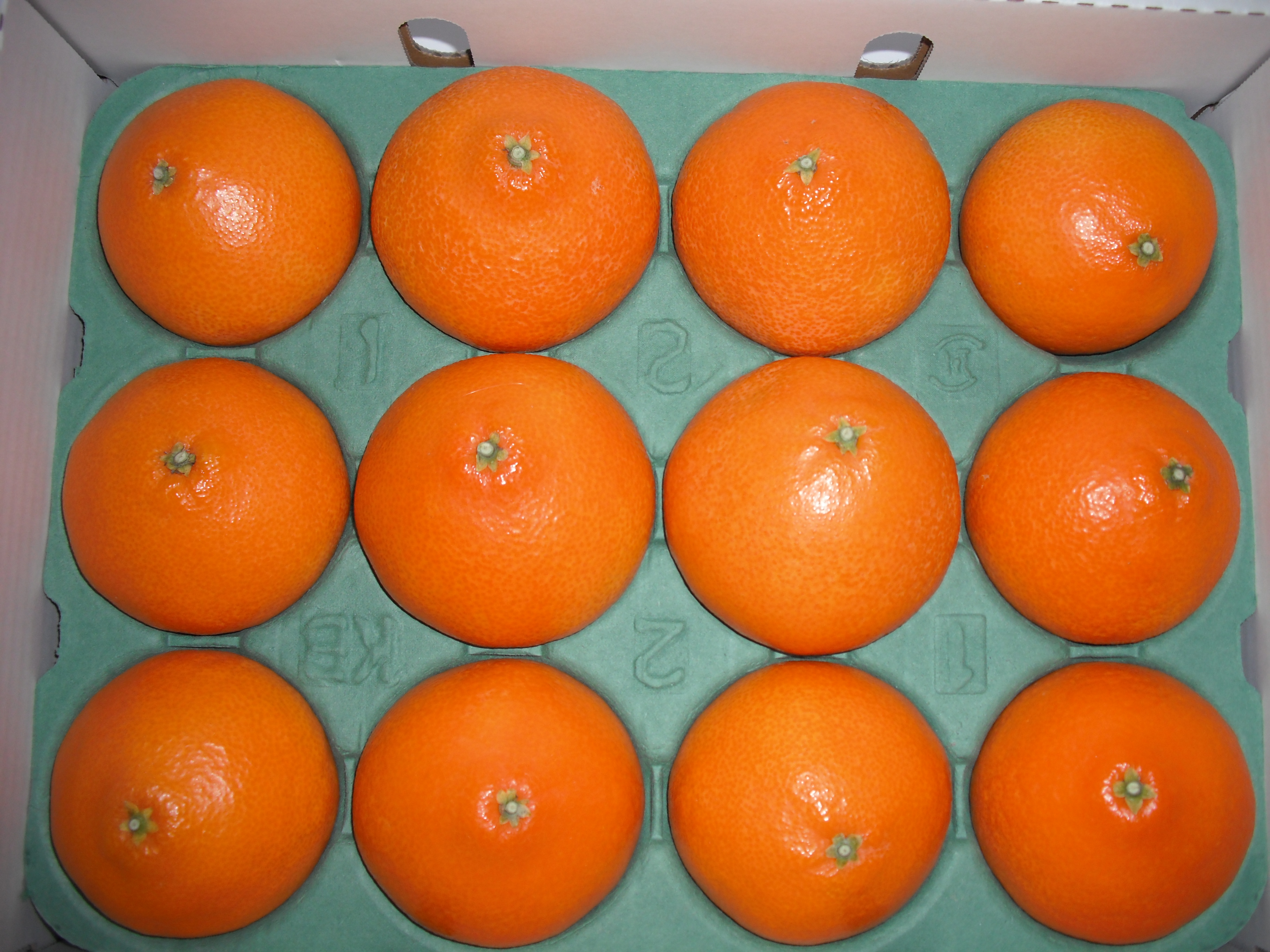 人・環境への愛（安全・安心）