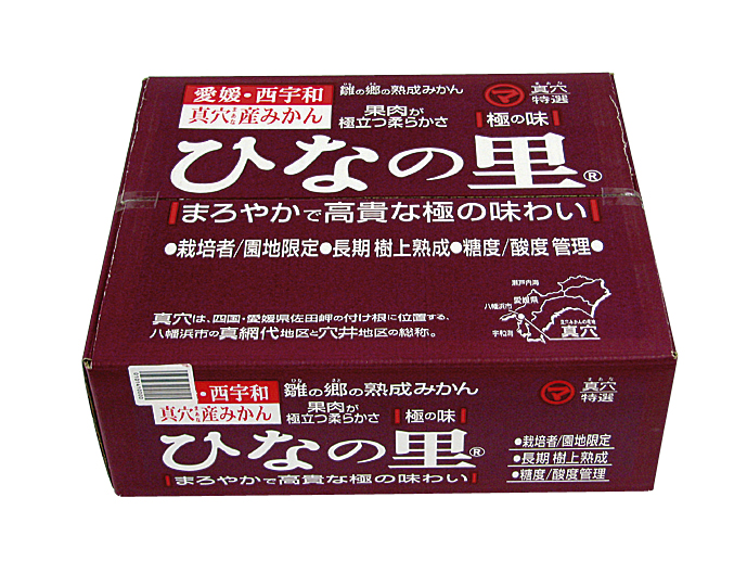 ふるさとへの愛（歴史・伝統）