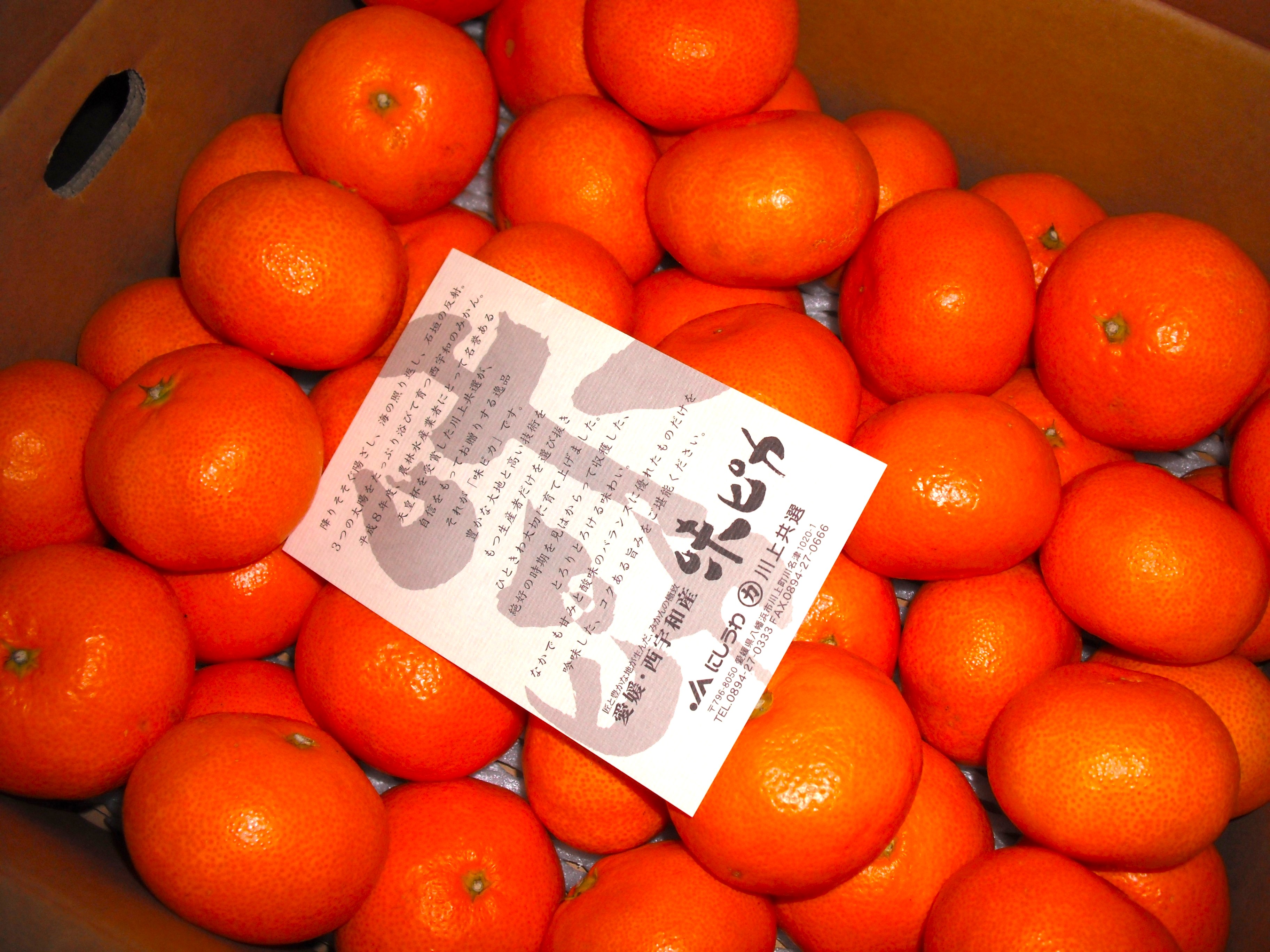 産物への愛（産品の特徴）