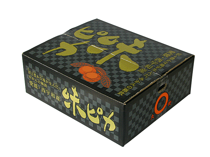 ふるさとへの愛（歴史・伝統）