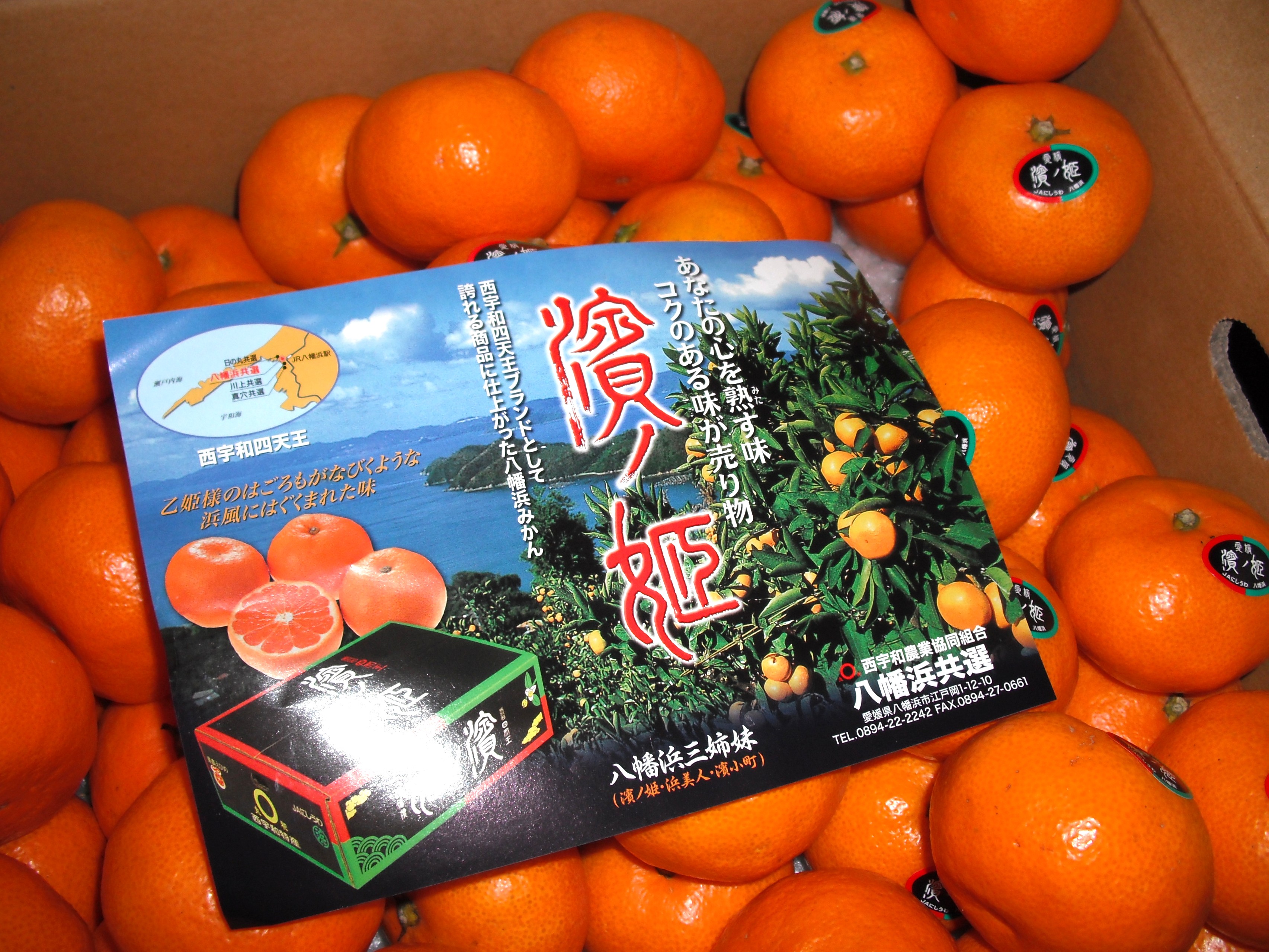 産物への愛（産品の特徴）