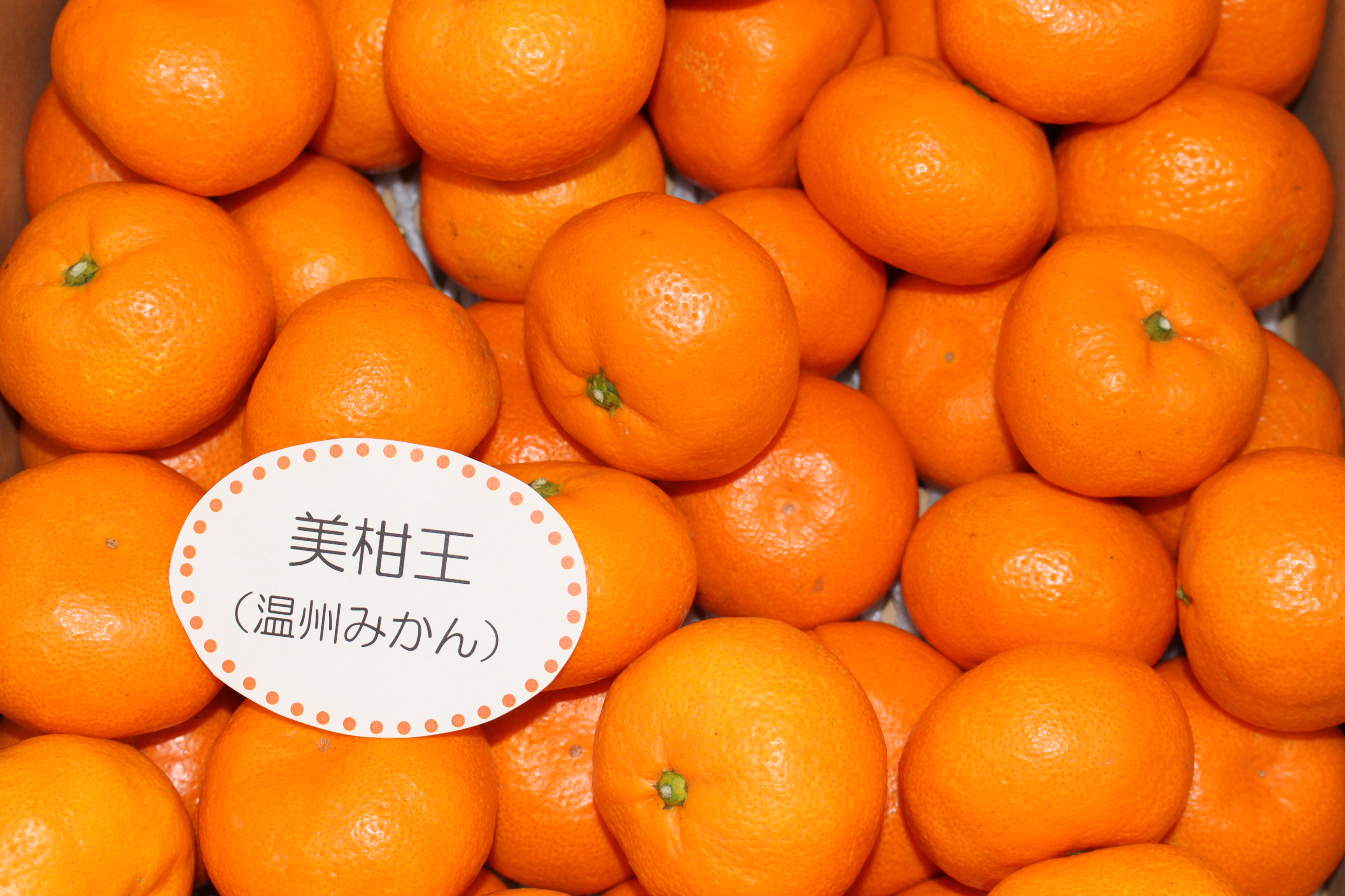 人・環境への愛（安全・安心）