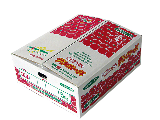 ふるさとへの愛（歴史・伝統）