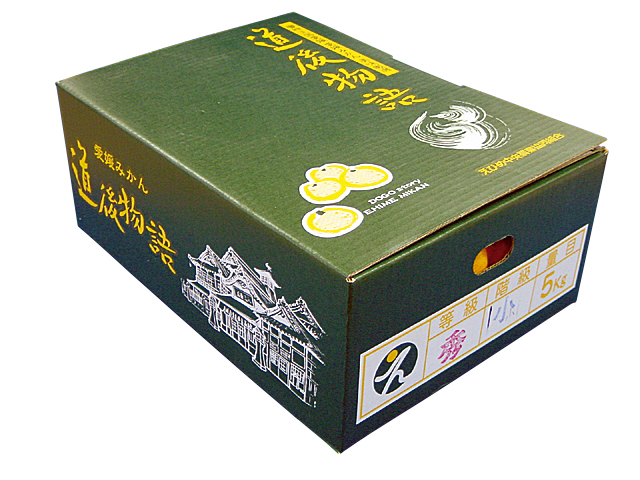 ふるさとへの愛（歴史・伝統）