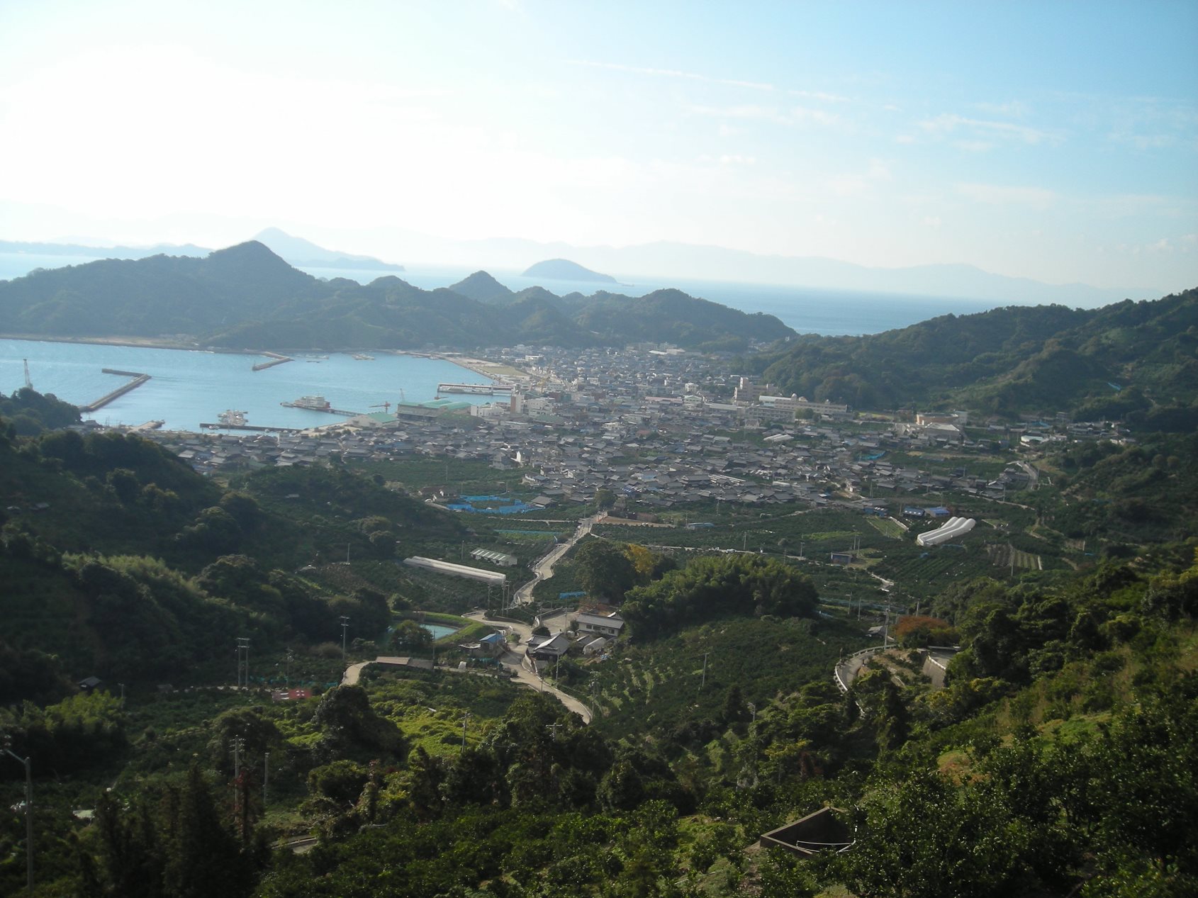 ふるさとへの愛（歴史・伝統）