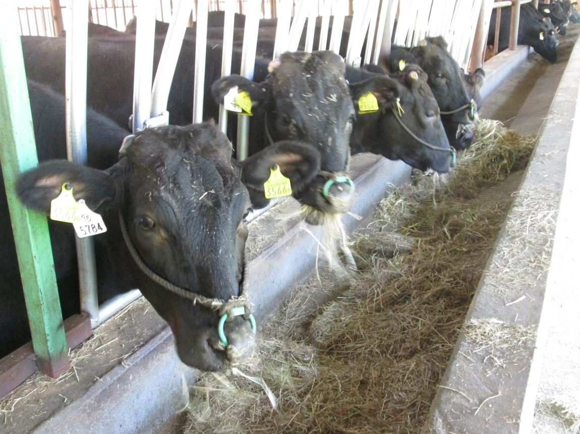 人・環境への愛（安全・安心）