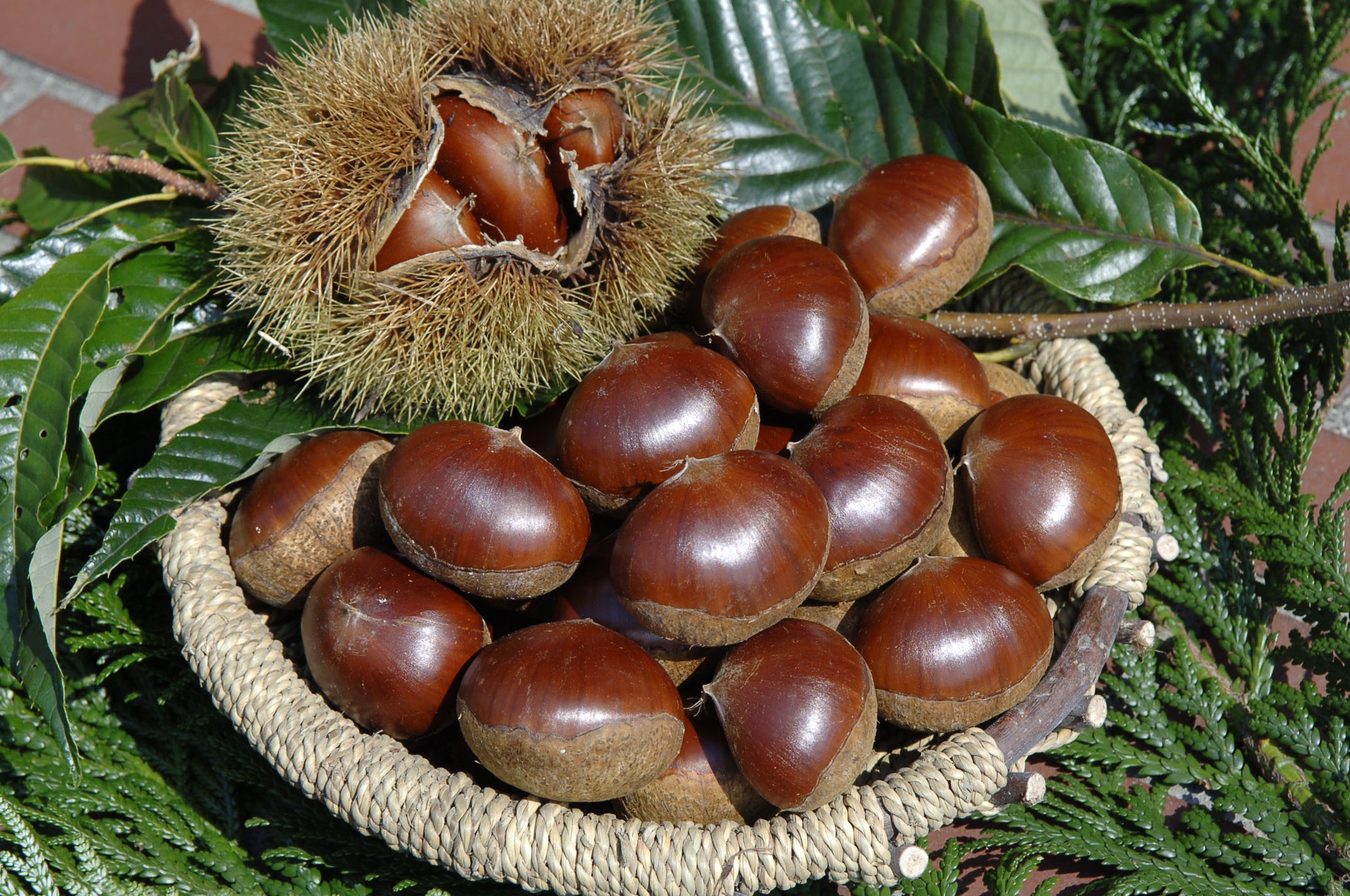 産物への愛（産品の特徴）