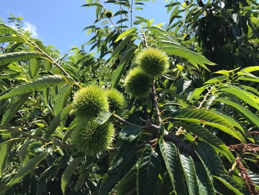 人・環境への愛（安全・安心）