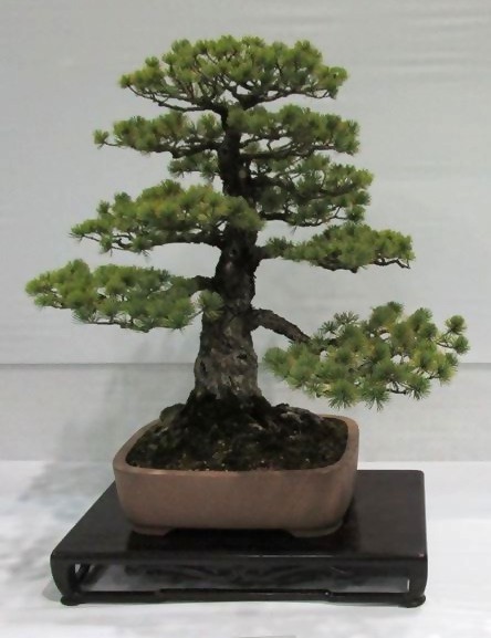 ふるさとへの愛（歴史・伝統）