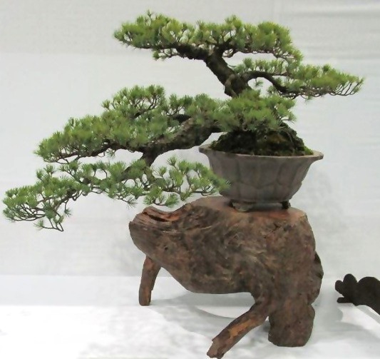 人・環境への愛（安全・安心）