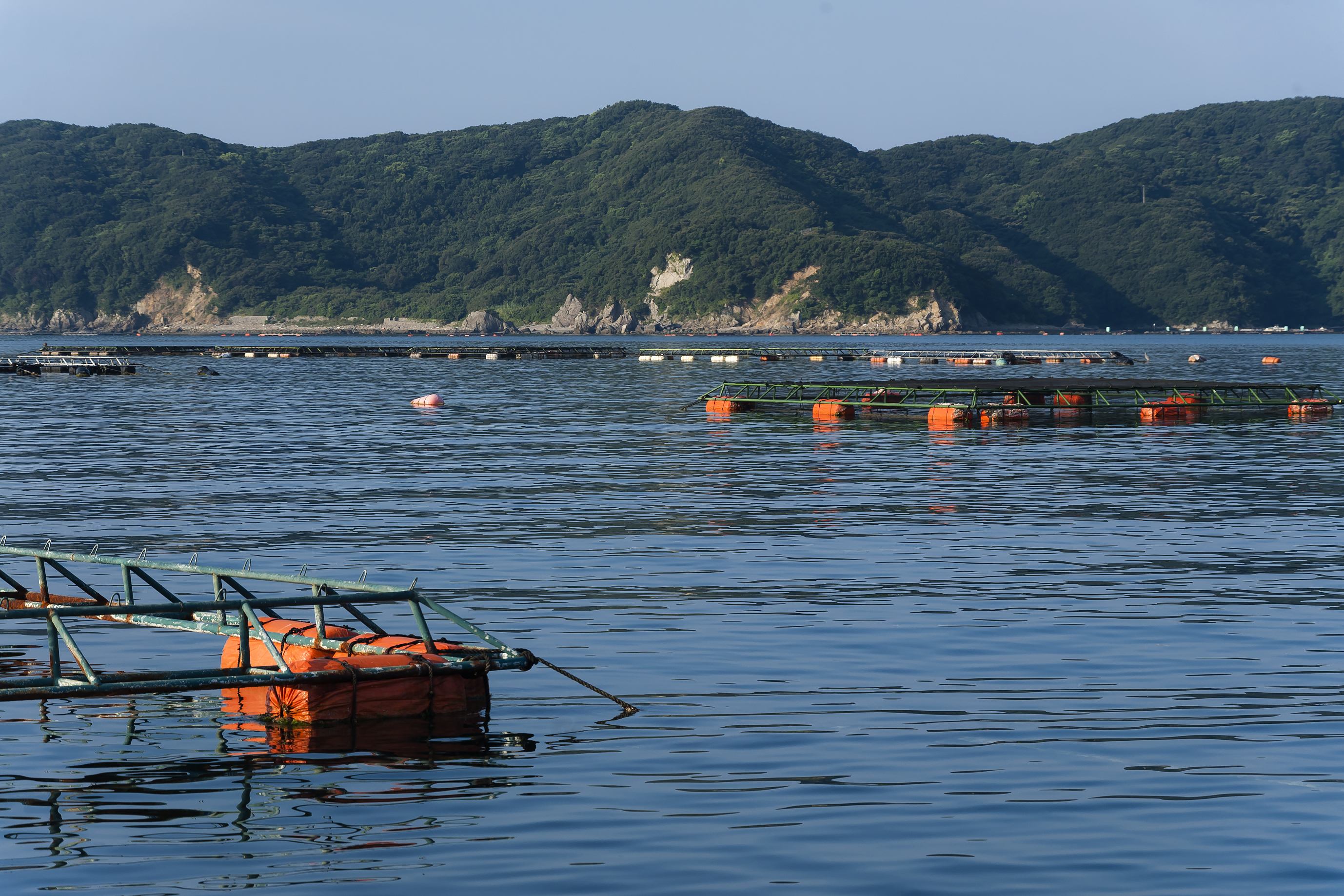 人・環境への愛（安全・安心）