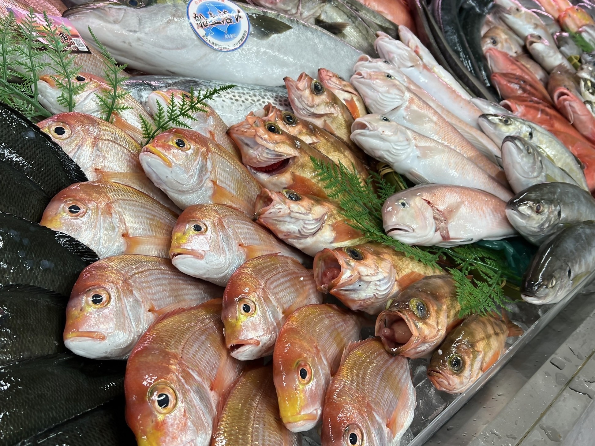 大起水産 街のみなと まぐろパーク堺本店
