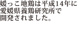 媛っこ地鶏は平成14年に愛媛県養鶏研究所で開発されました。